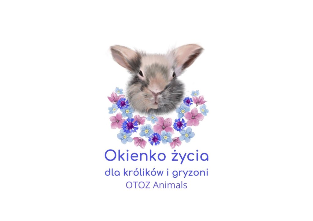 okienko życia paczka