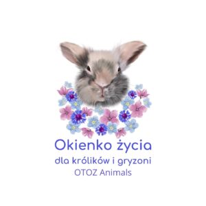 okienko życia paczka